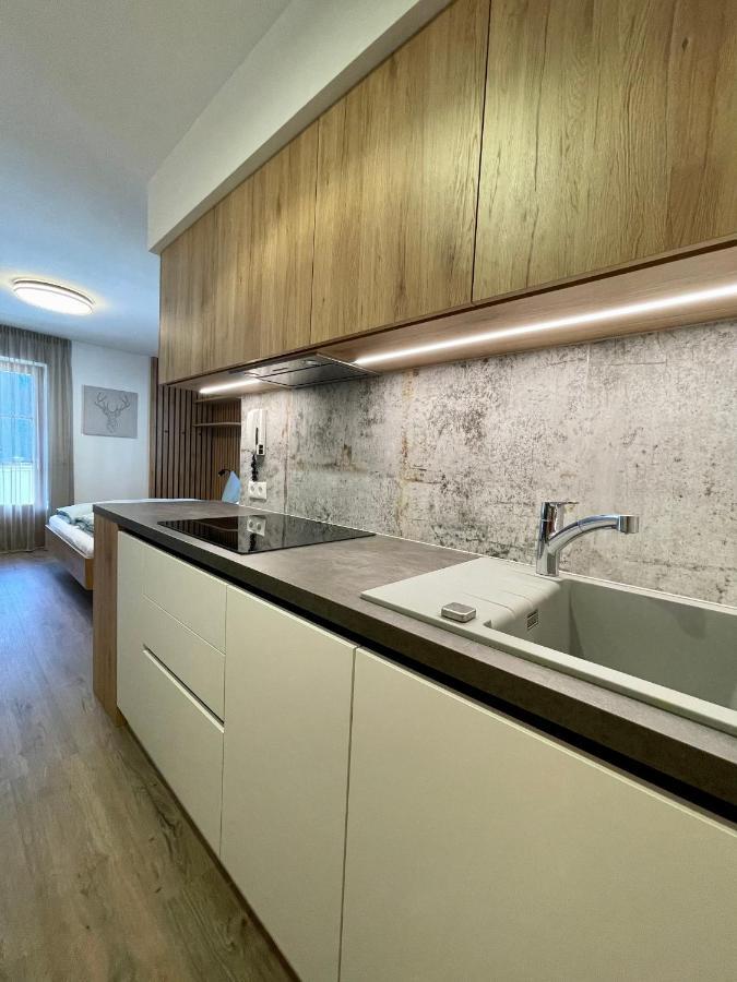 Apartments Vaiolet Santa Cristina Val Gardena エクステリア 写真