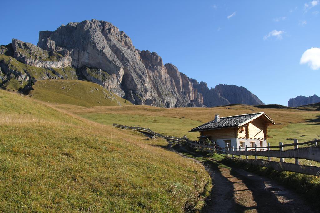 Apartments Vaiolet Santa Cristina Val Gardena エクステリア 写真