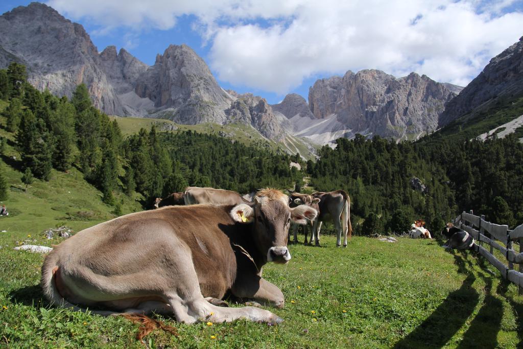 Apartments Vaiolet Santa Cristina Val Gardena エクステリア 写真
