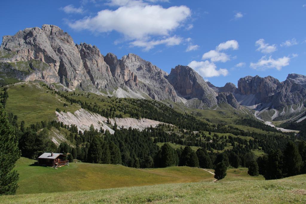Apartments Vaiolet Santa Cristina Val Gardena エクステリア 写真