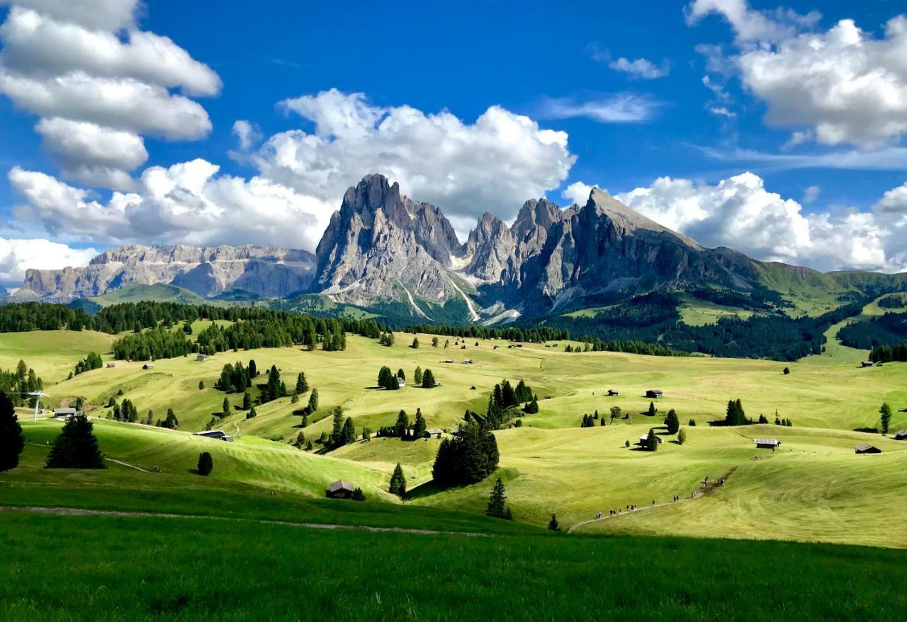Apartments Vaiolet Santa Cristina Val Gardena エクステリア 写真