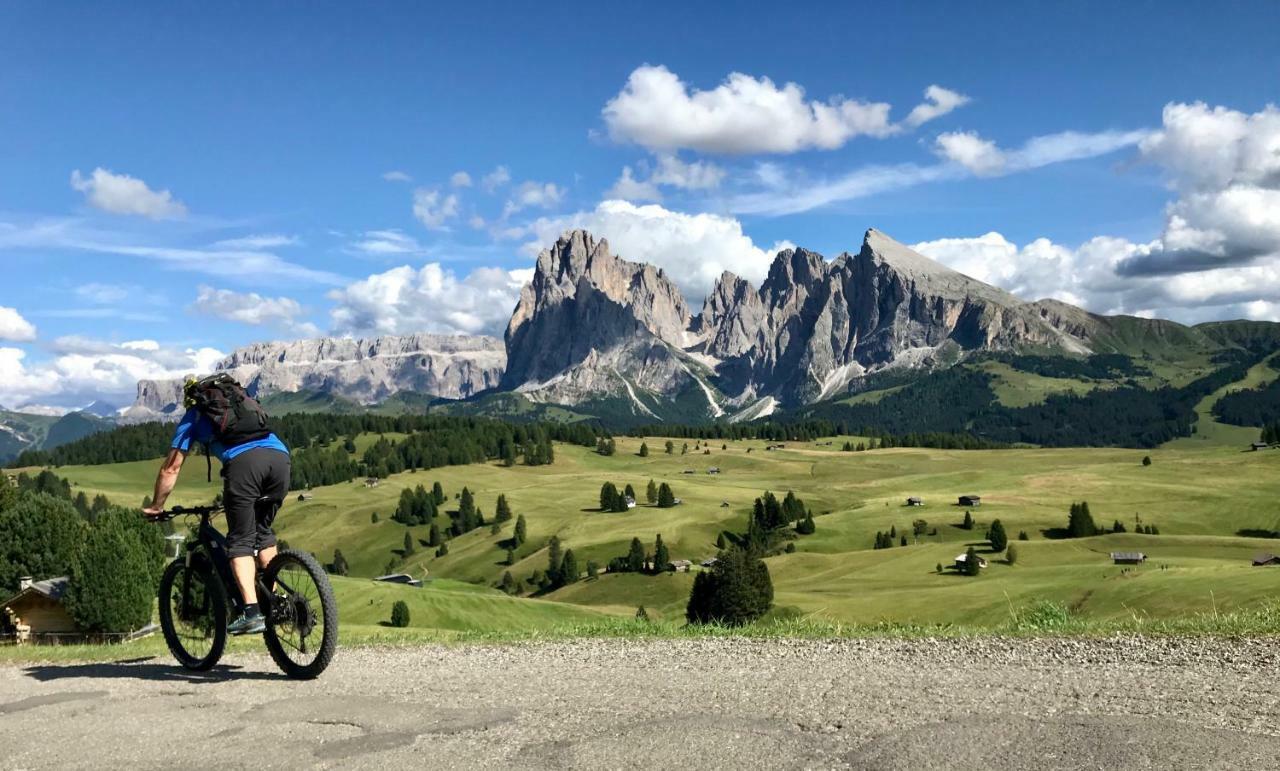 Apartments Vaiolet Santa Cristina Val Gardena エクステリア 写真