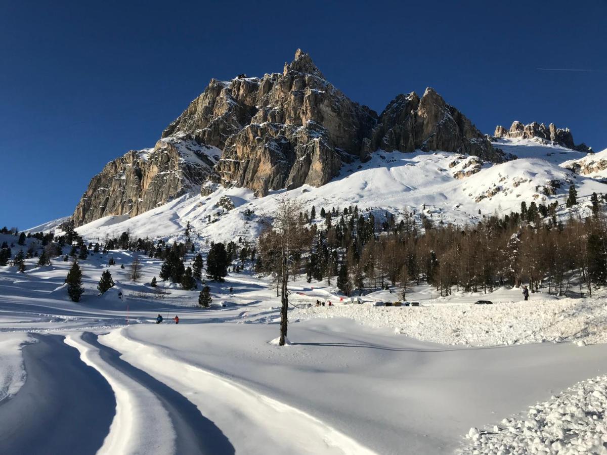 Apartments Vaiolet Santa Cristina Val Gardena エクステリア 写真