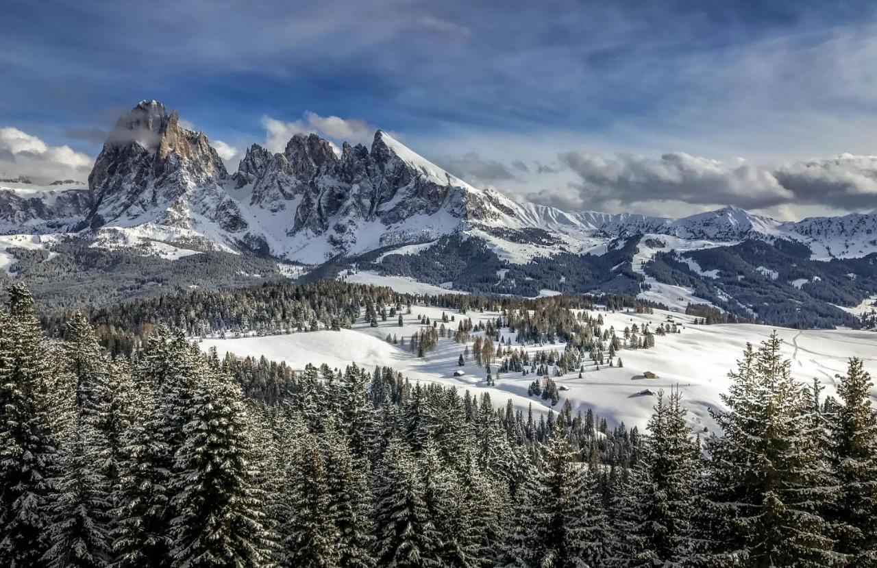 Apartments Vaiolet Santa Cristina Val Gardena エクステリア 写真