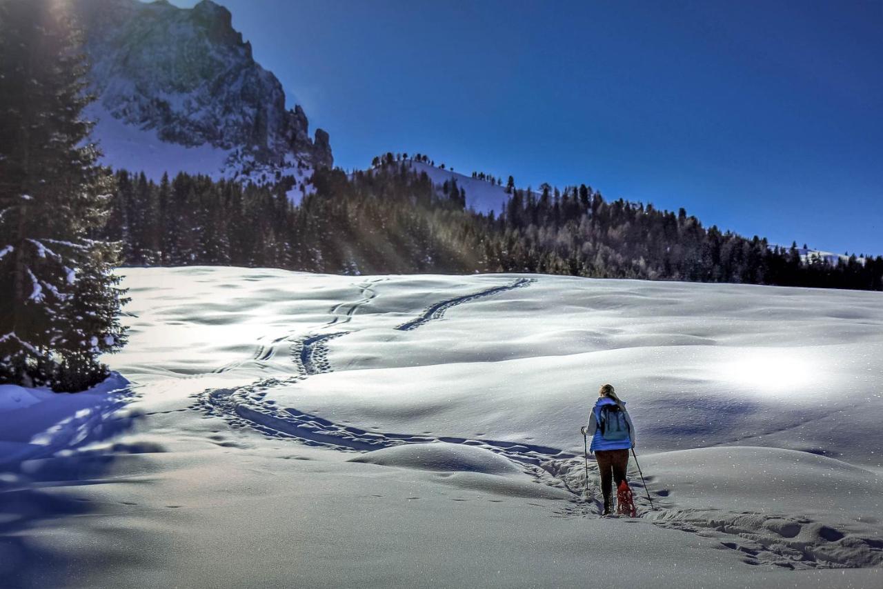 Apartments Vaiolet Santa Cristina Val Gardena エクステリア 写真