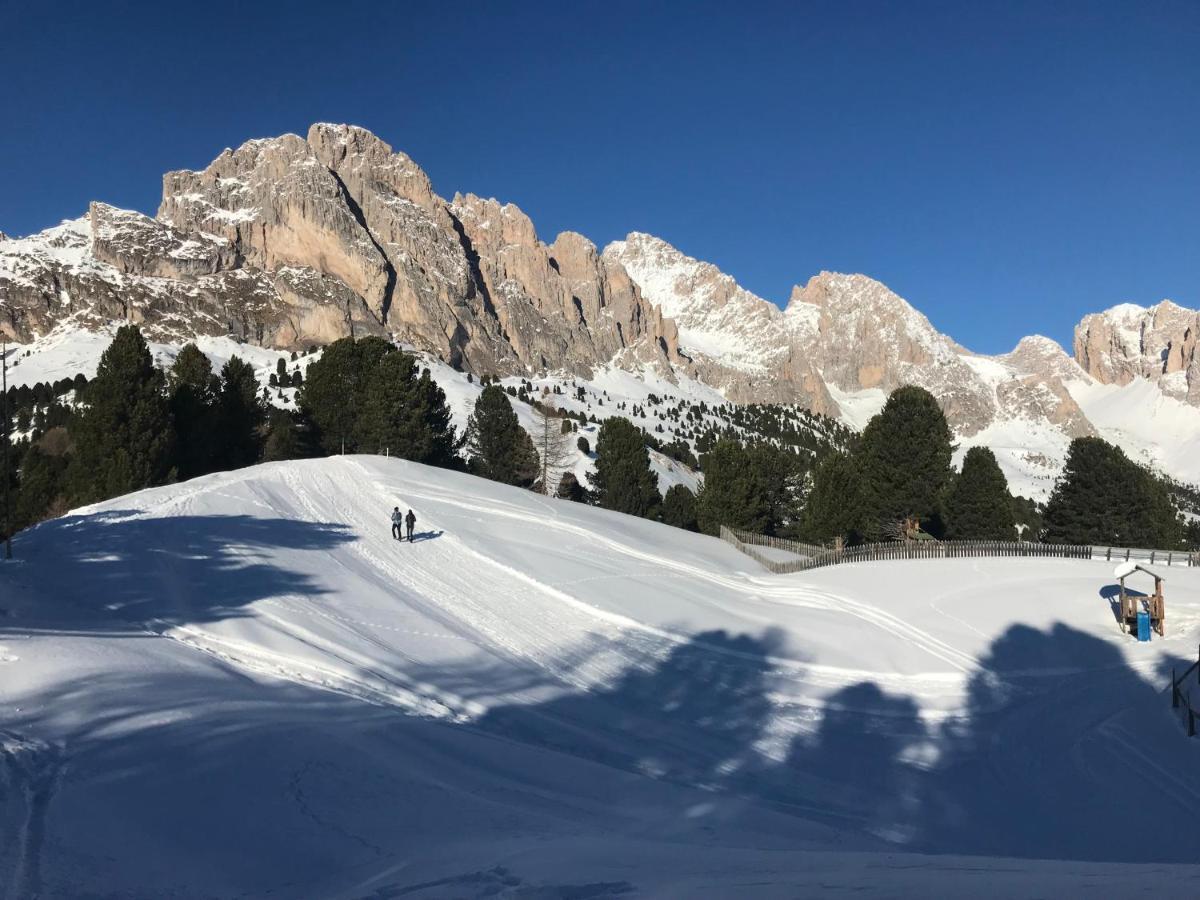 Apartments Vaiolet Santa Cristina Val Gardena エクステリア 写真