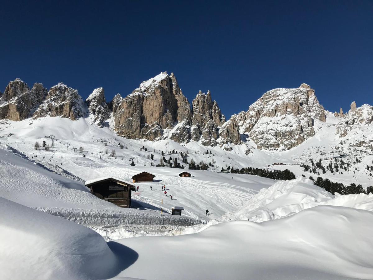 Apartments Vaiolet Santa Cristina Val Gardena エクステリア 写真